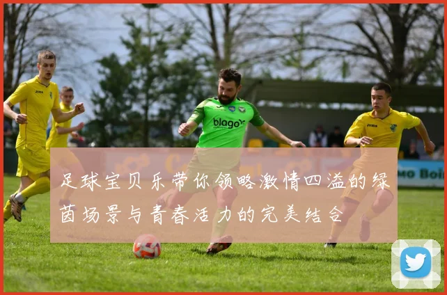 足球宝贝乐带你领略激情四溢的绿茵场景与青春活力的完美结合
