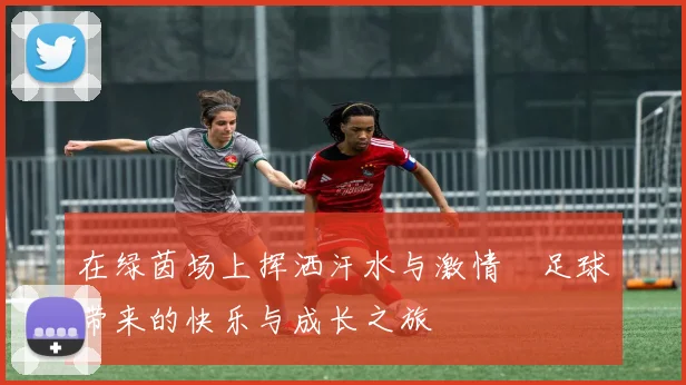 在绿茵场上挥洒汗水与激情彈足球带来的快乐与成长之旅