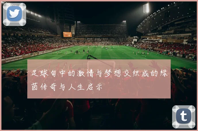 足球句中的激情与梦想交织成的绿茵传奇与人生启示