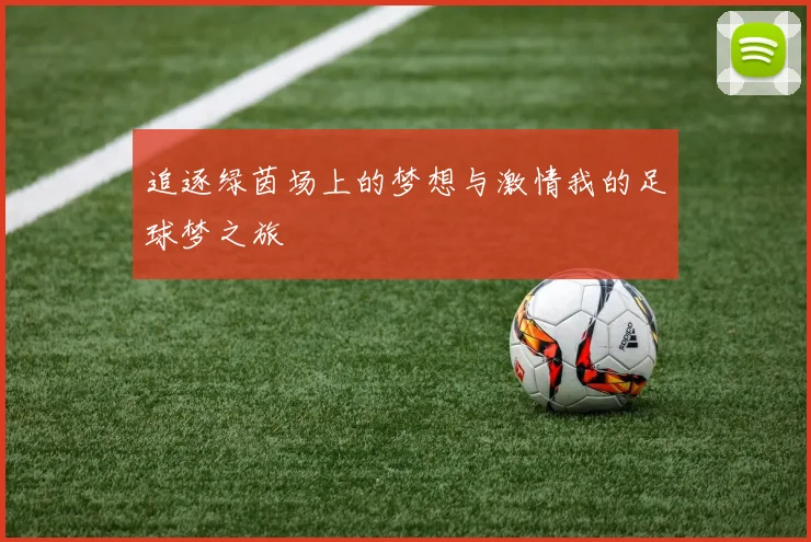 追逐绿茵场上的梦想与激情我的足球梦之旅
