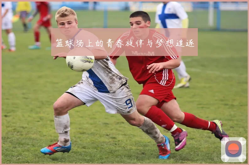 篮球场上的青春旋律与梦想追逐