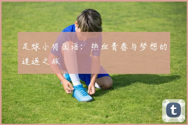 足球小将国语：热血青春与梦想的追逐之旅