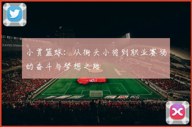 小贾篮球：从街头小将到职业赛场的奋斗与梦想之路