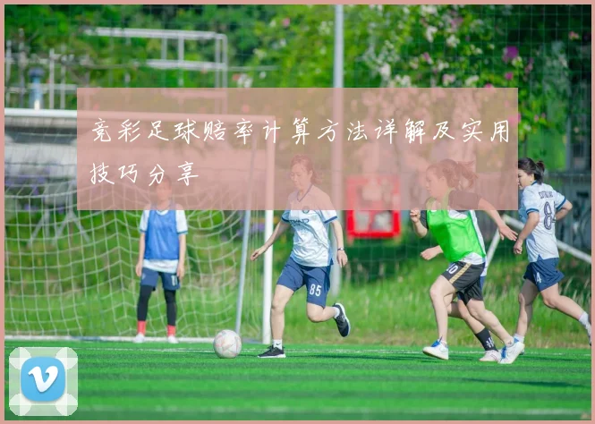 竞彩足球赔率计算方法详解及实用技巧分享
