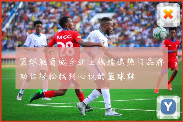 篮球鞋商城全新上线精选热门品牌助你轻松找到心仪的篮球鞋